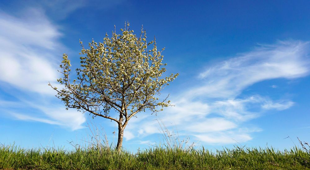 Photograph by Ави Христова