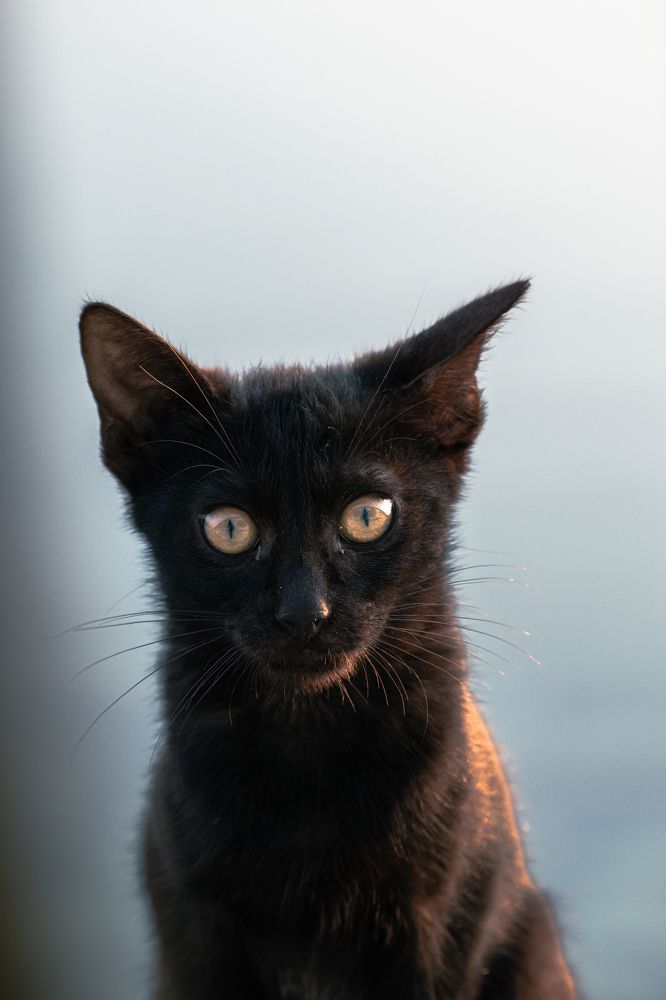 Фотография автора Sakthi Ganesh