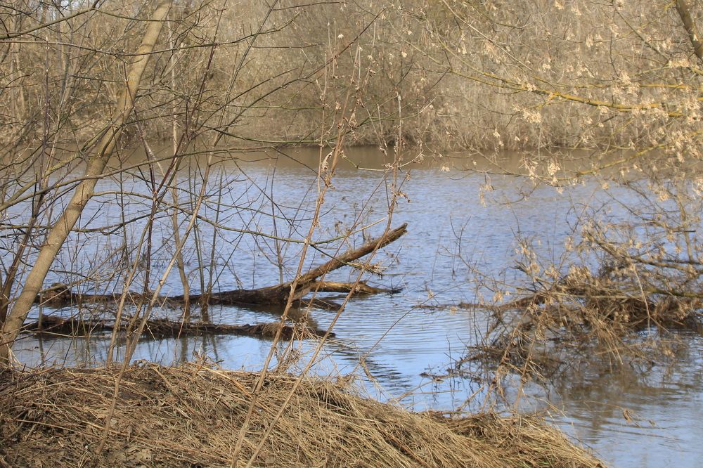 Photograph by Илья Беликов