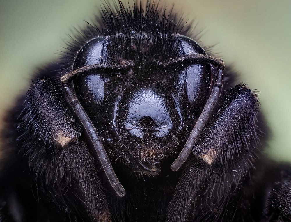 Photograph by Talha Maqsood