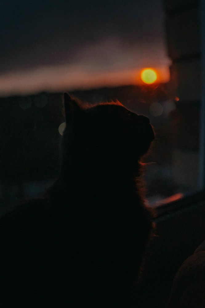 Photograph by Дарья Ефанова