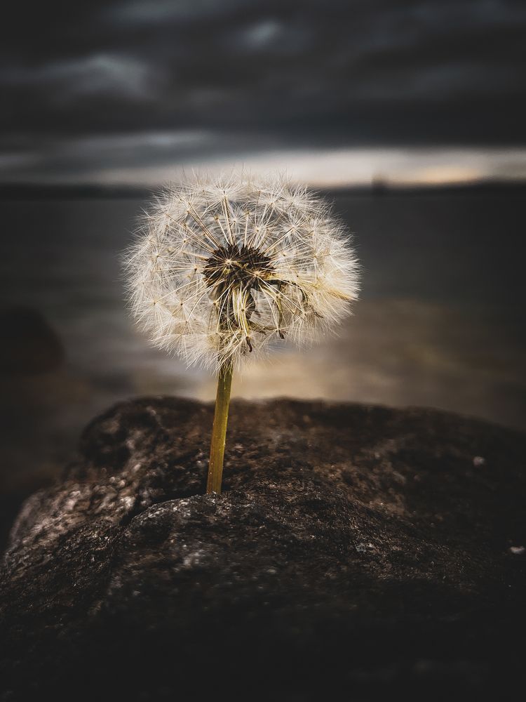 Photograph by Rouven