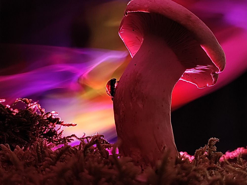 Photograph by FABIO SARTORI