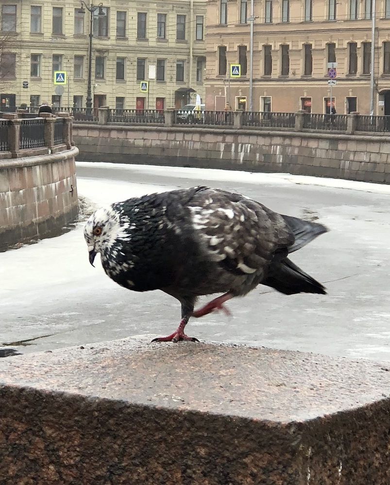 Photograph by Мария Бессмертная