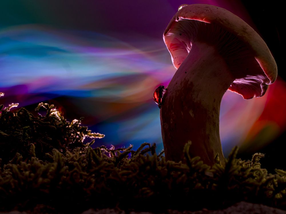 Photograph by FABIO SARTORI