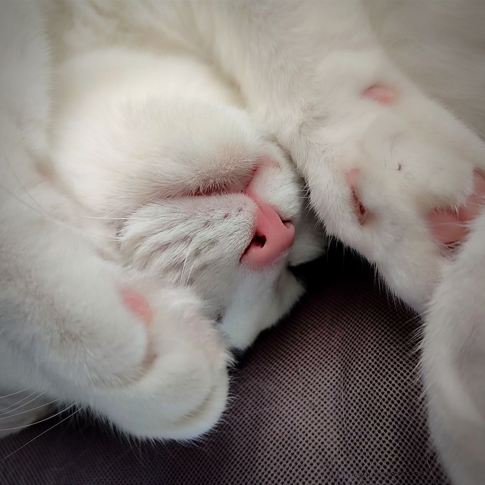 Photograph by AlexaL