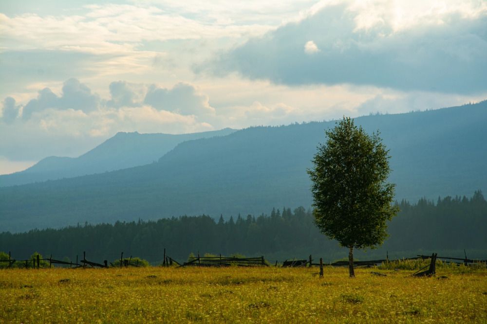 Photograph by Alex Fetisov