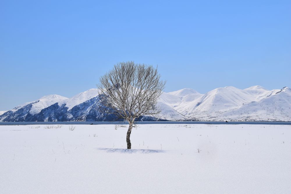 Photograph by Соколова Елена