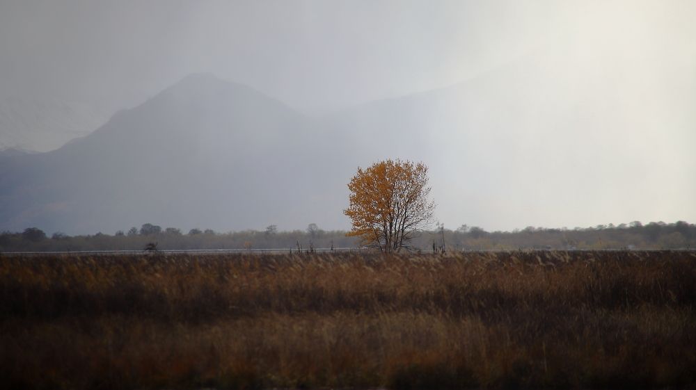 Photograph by Соколова Елена