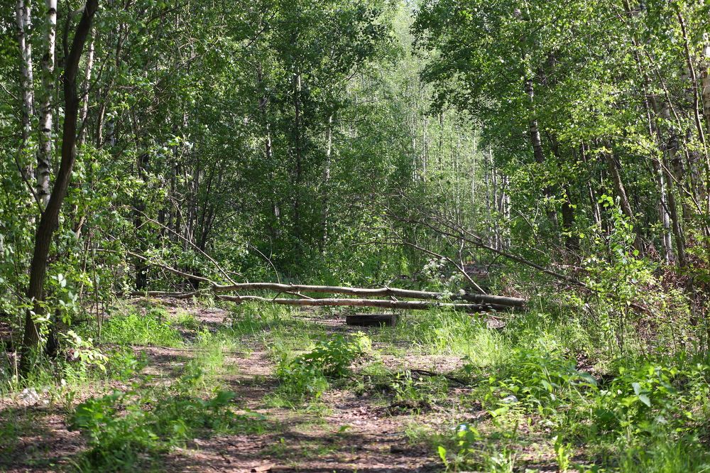 Photograph by Станислав Вершинин