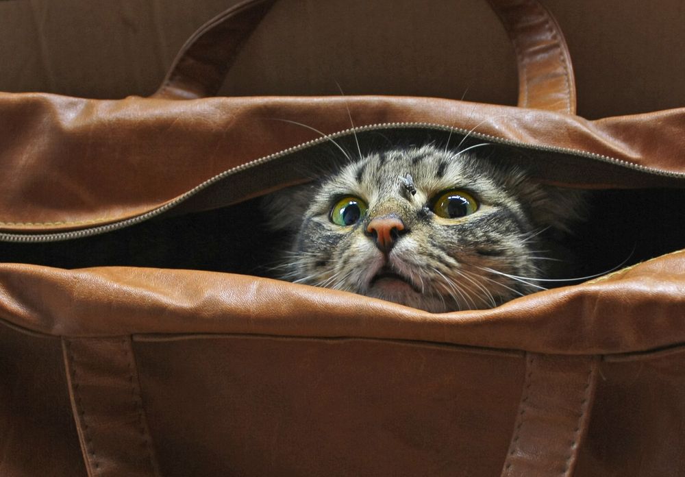 Photograph by Аркадова Елена