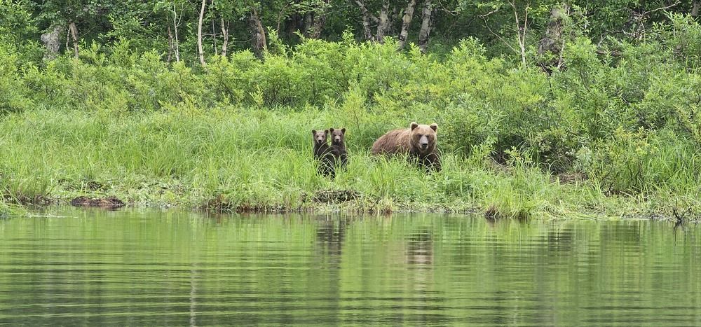 Photograph by Соколова Елена