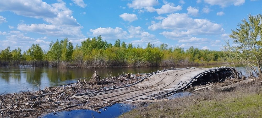 Photograph by Сергей Хранитель