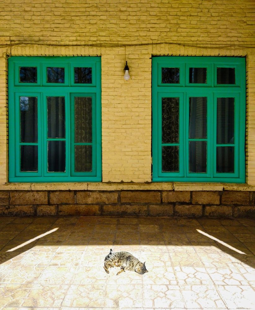 Photograph by Artin darvishi