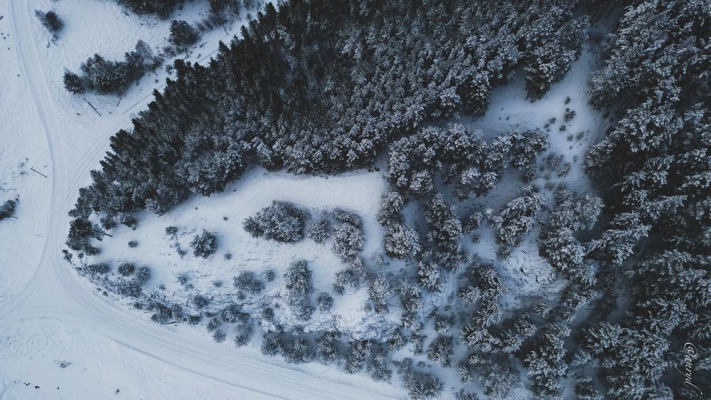 Photograph by Анна Рогачева