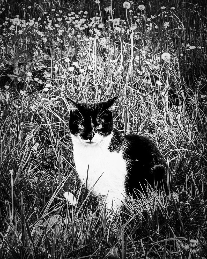 Photograph by daria eipert