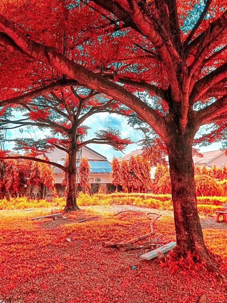 Photograph by Tosan Dudun