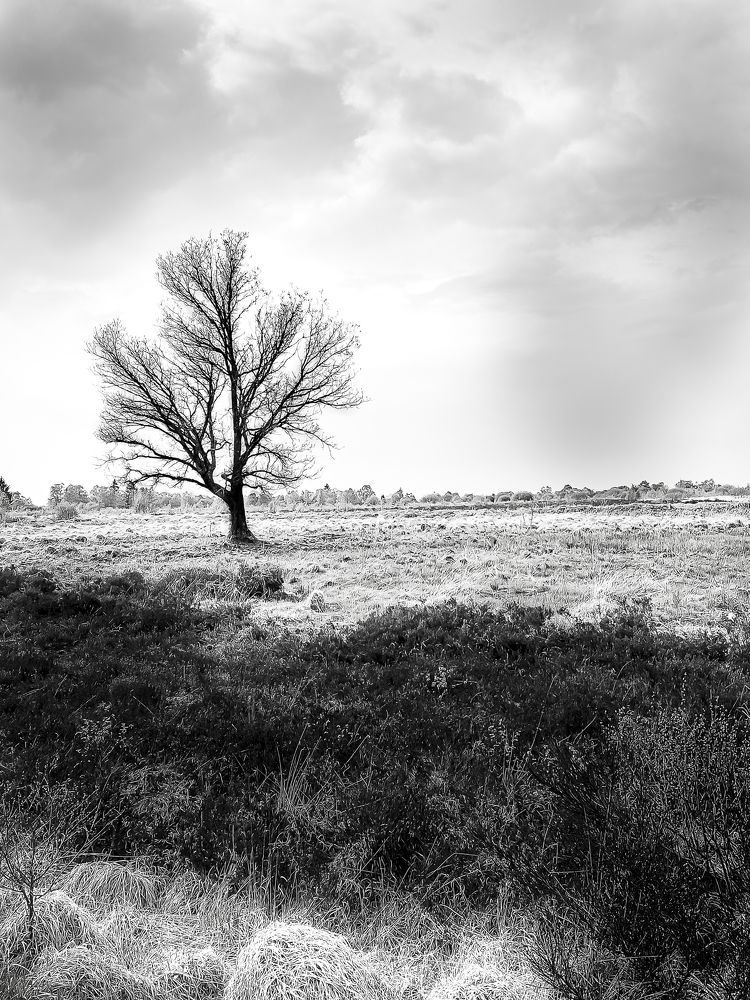 Photograph by Nicole Maria Oestreich