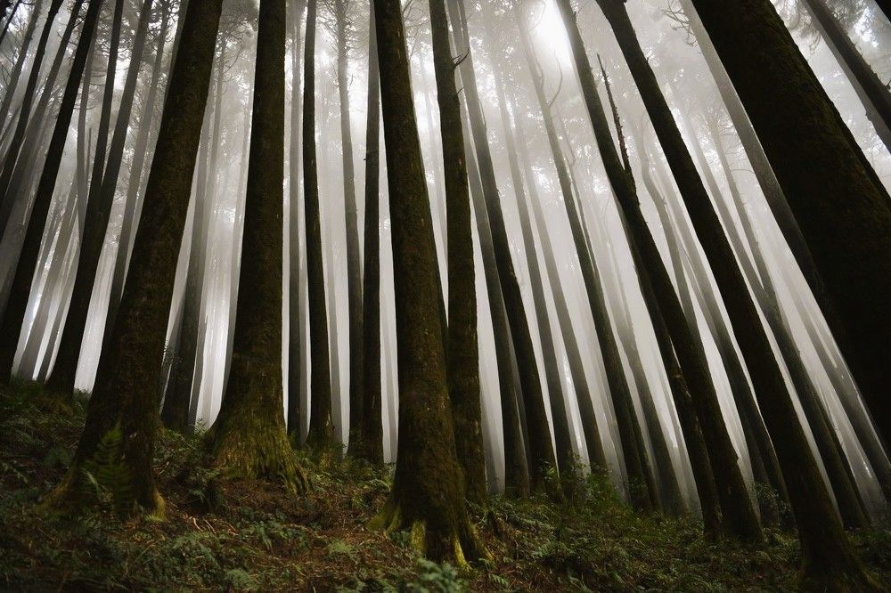 Photograph by Kangona Sinha