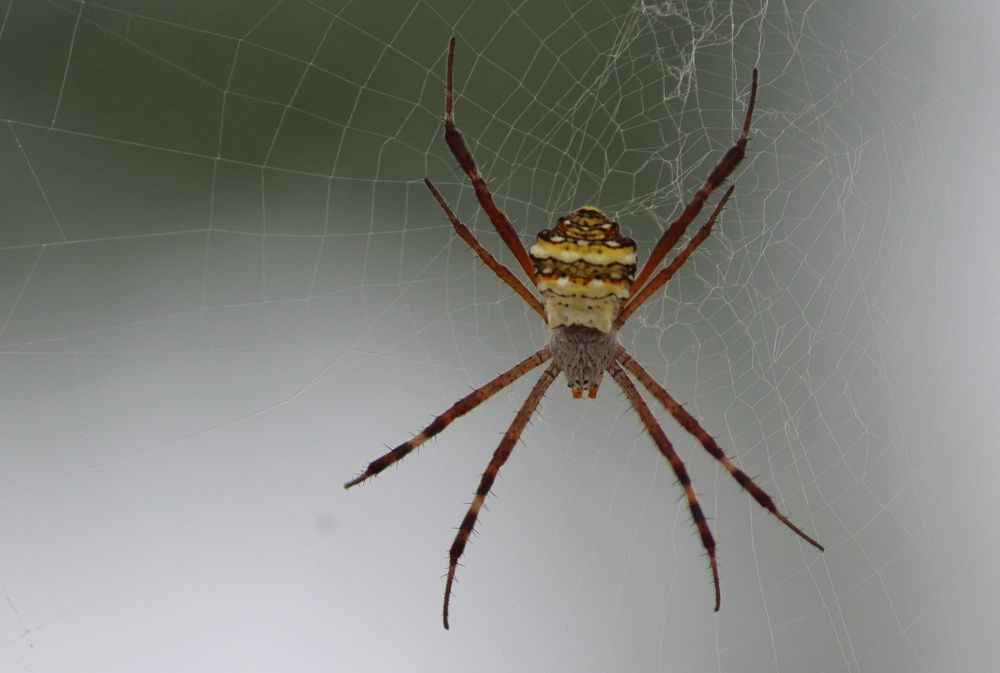 Photograph by Gopinath JM