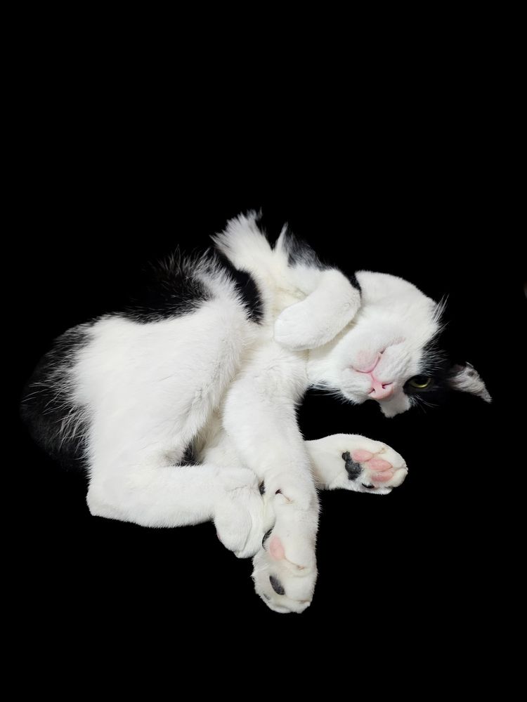 Фотография автора Elaine Almeida