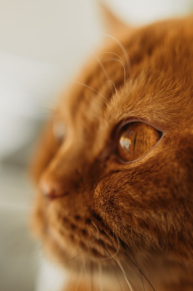 Photograph by Alexandra