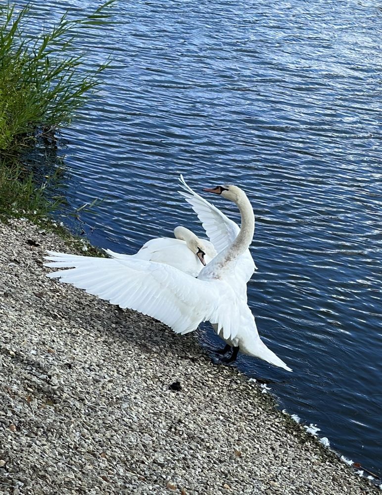 Photograph by Елена Цацулина