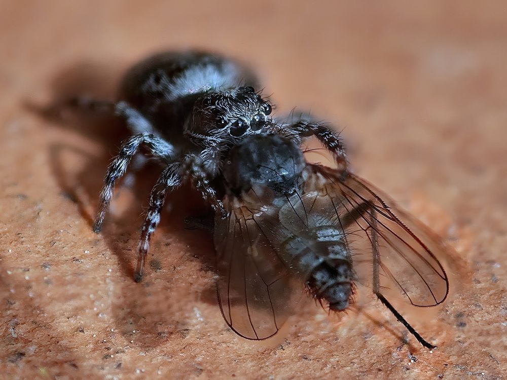 Photograph by Кузнецов Дмитрий