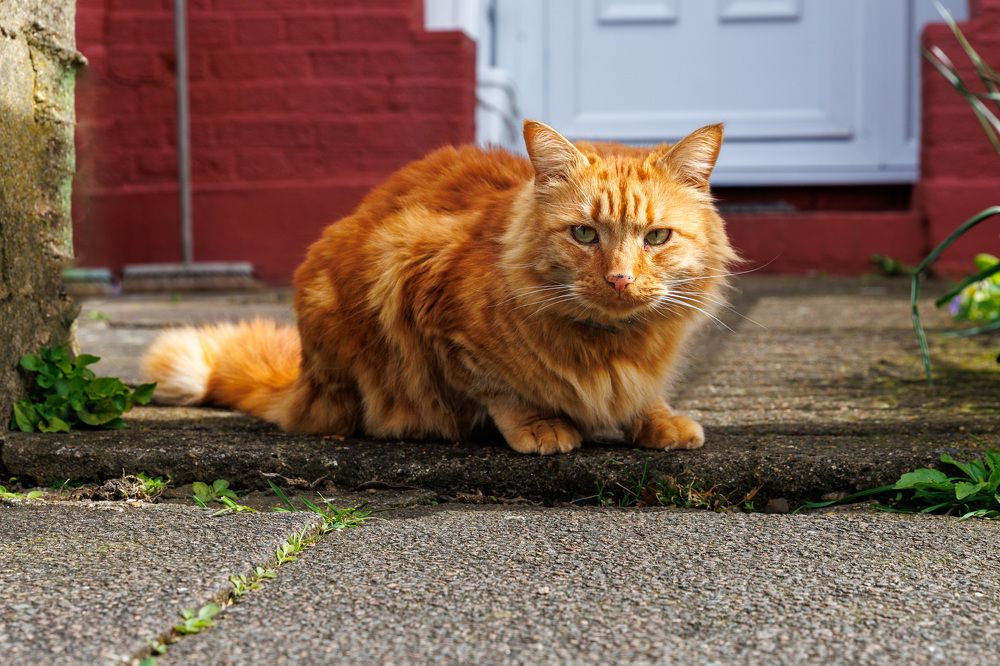 Photograph by Людмила Аксенова