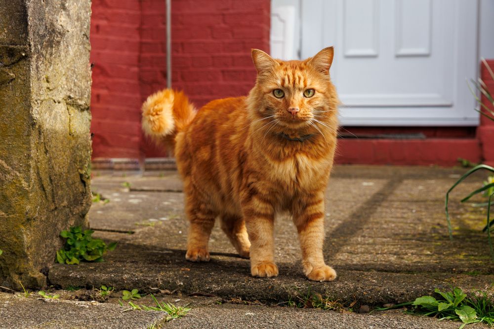 Photograph by Людмила Аксенова