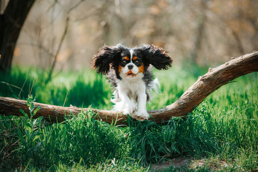 Photograph by Виола Поликарпова