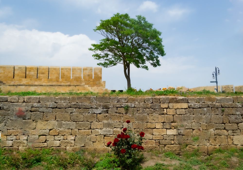 Photograph by Людмила Ваганова