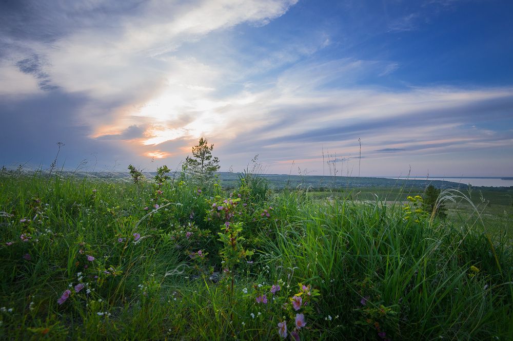 Photograph by Владислав Никишин