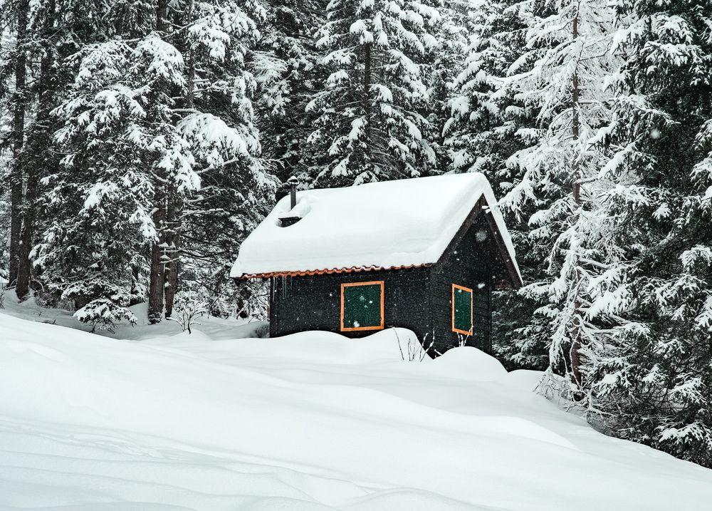 Photograph by Nicole Maria Oestreich