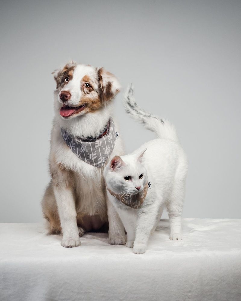 Photograph by Дарья Быстрицкая