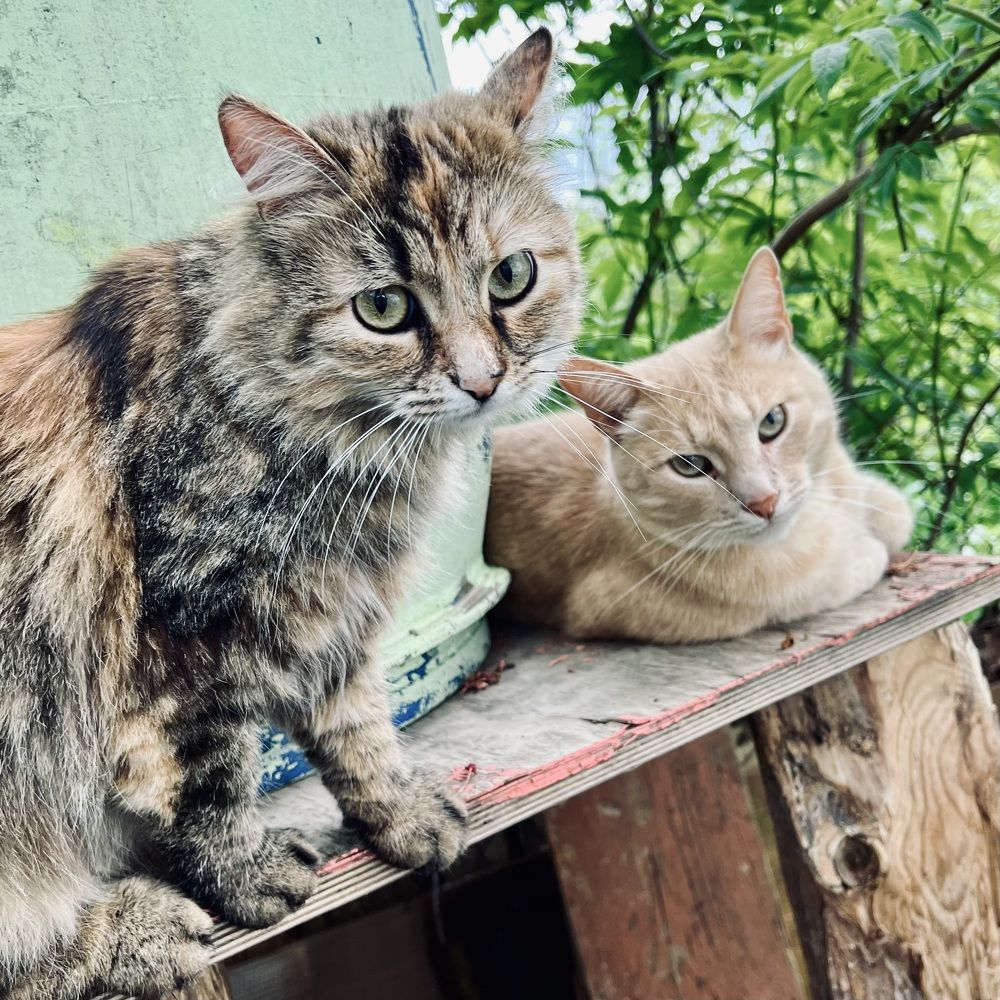 Photograph by Олег Банковский