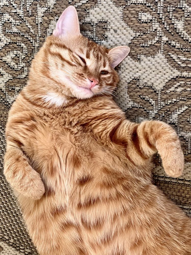 Photograph by Олег Банковский