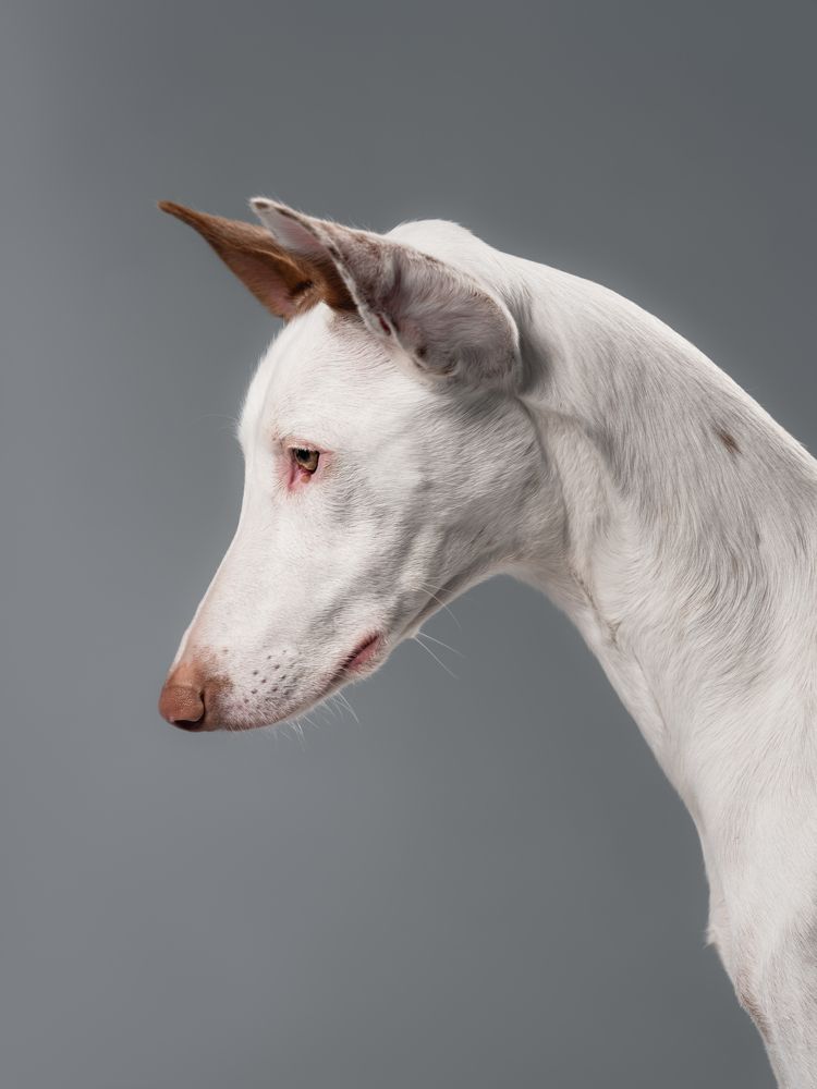 Photograph by Дарья Быстрицкая