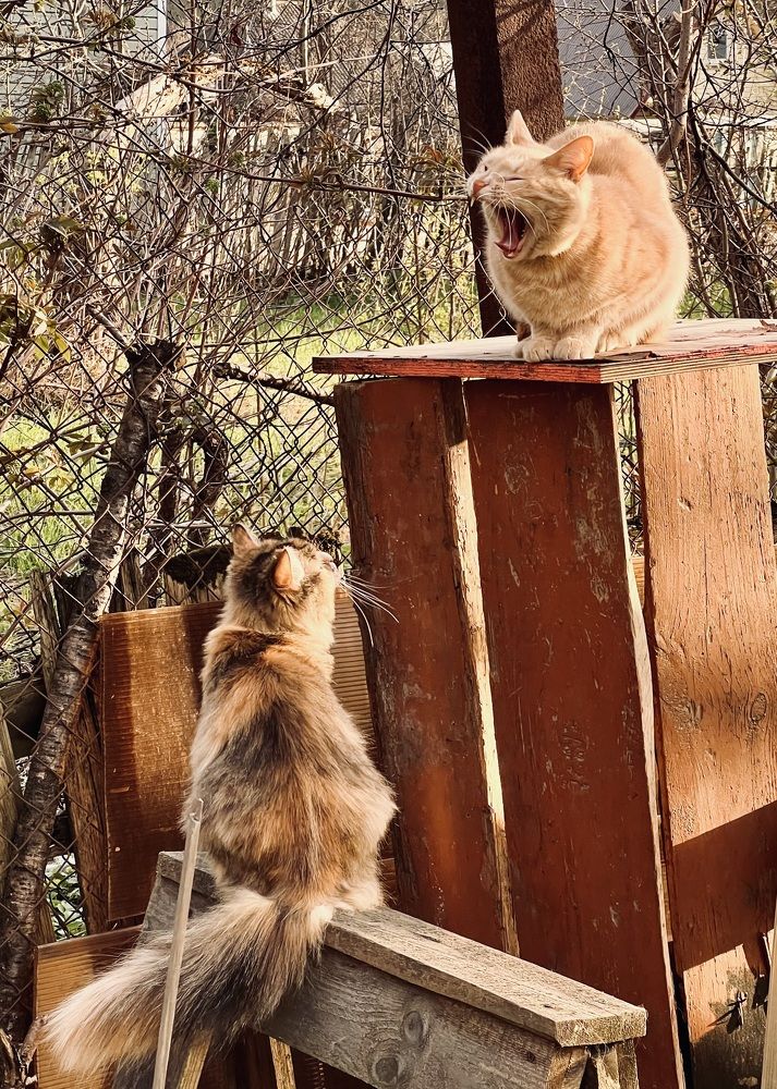 Photograph by Олег Банковский