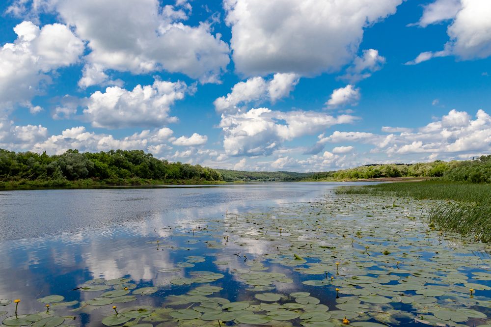 Photograph by Михаил Корнеев