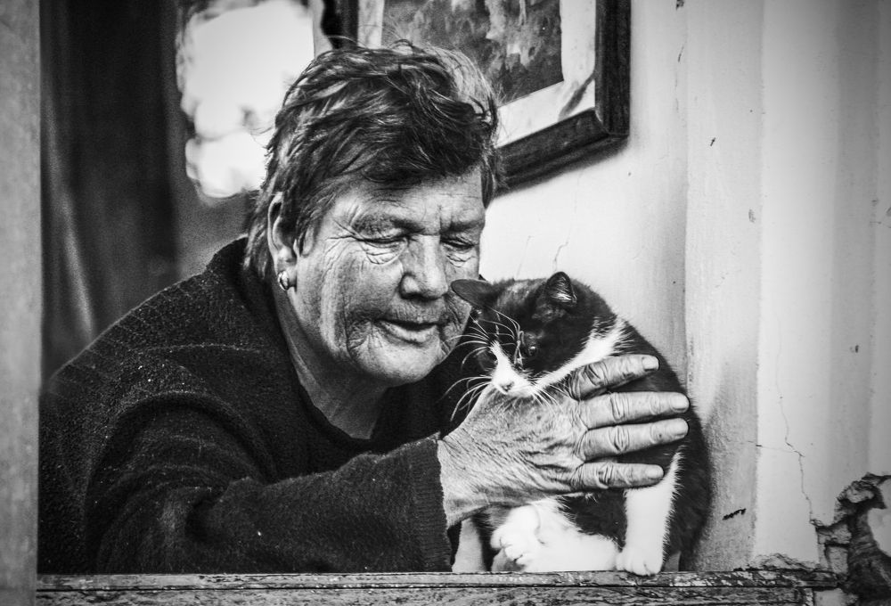 Where are you going, kitty?