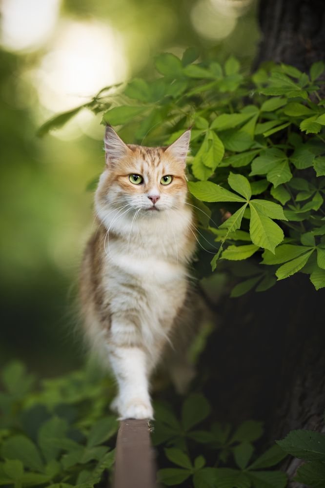 Photograph by Kristin Berthelmann