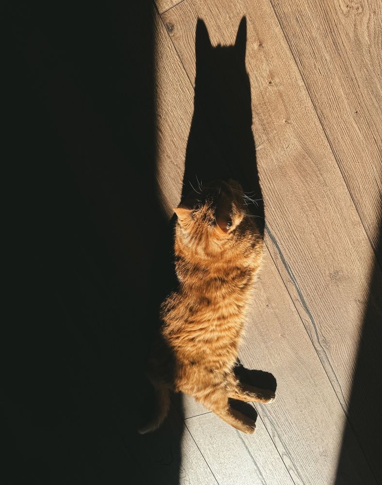 Фотография автора Oksana Yurasova