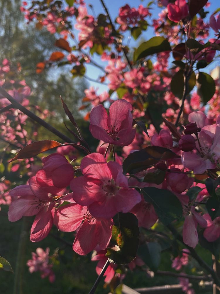 Photograph by Лада Сартакова