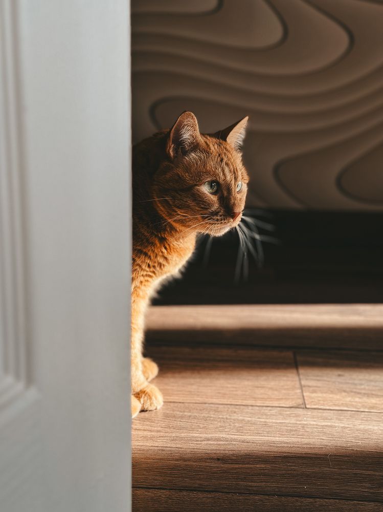 Фотография автора Oksana Yurasova