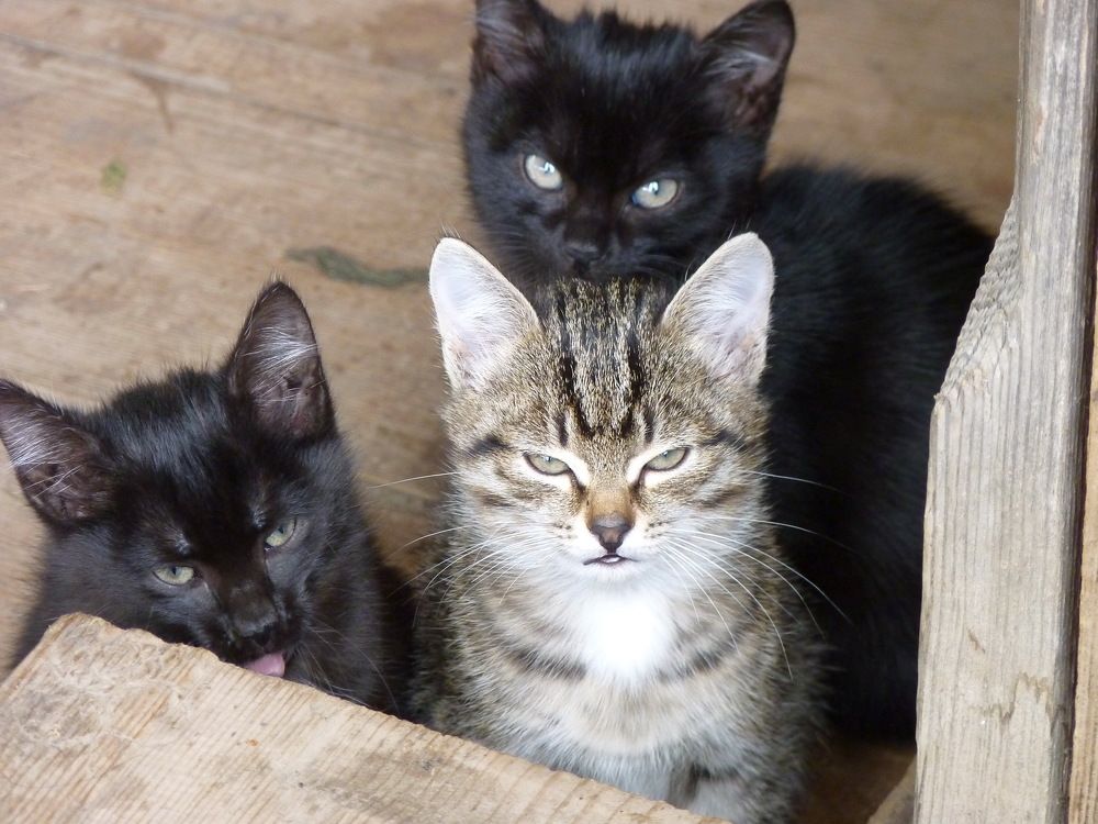 Photograph by Юрий Сычев