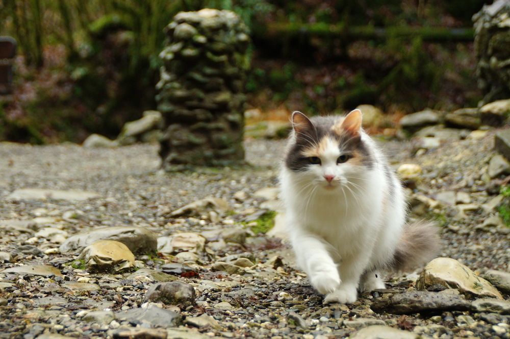 Photograph by Юрий Сычев