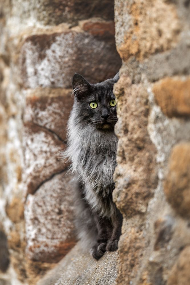 Photograph by Kristin Berthelmann