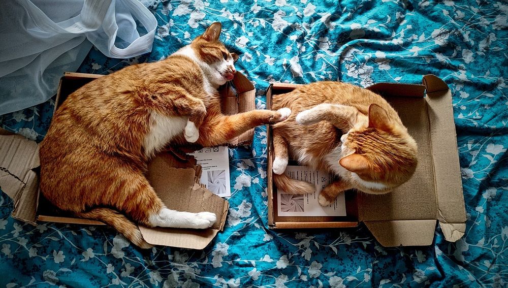 Photograph by Виктор Поздняк