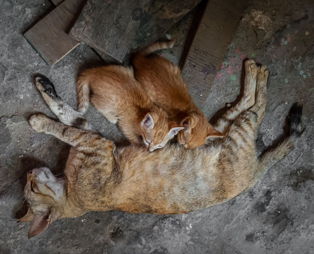 Photograph by Sanchari Nag